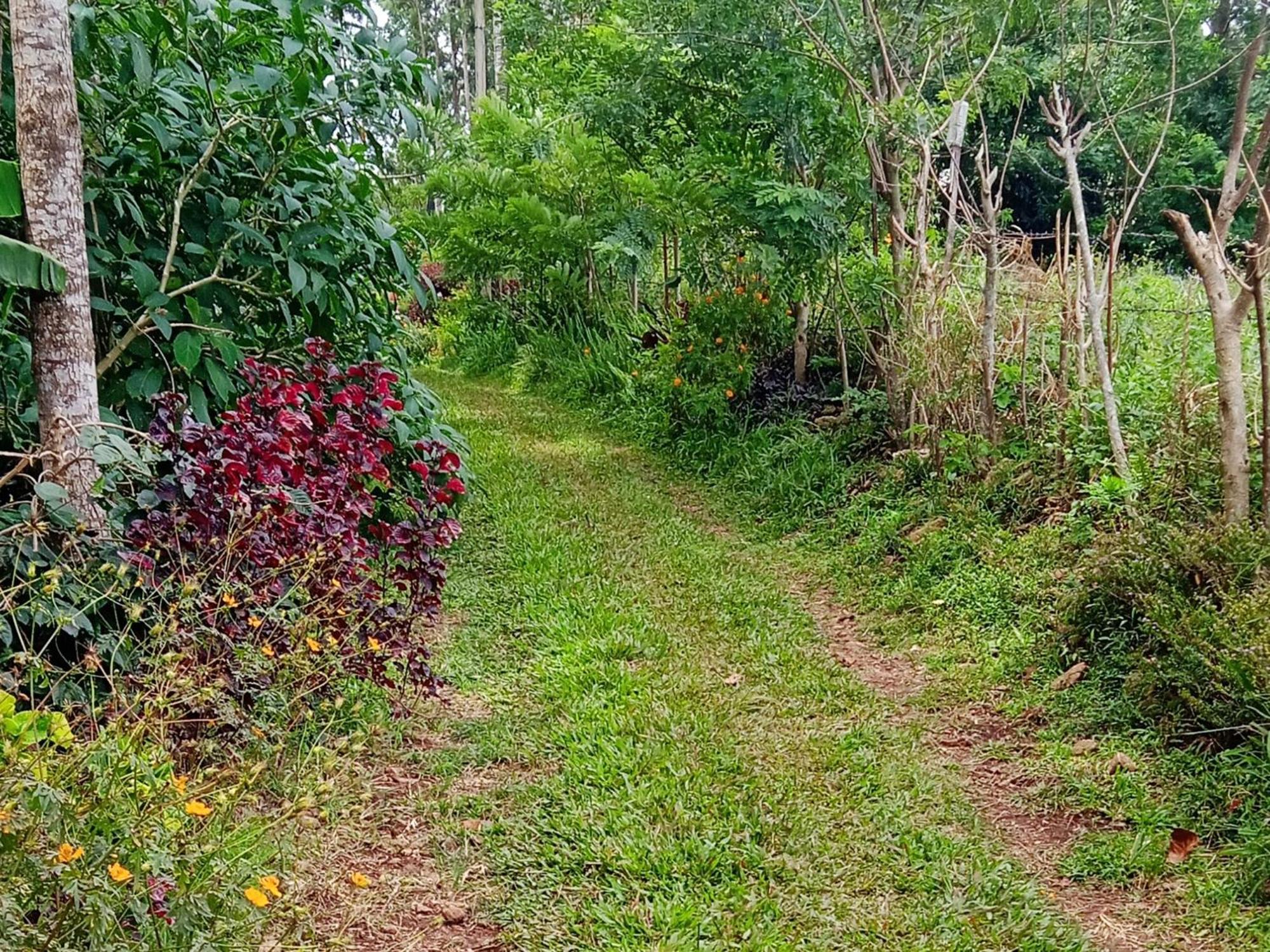 Farmer Homestay Yercaud Buitenkant foto