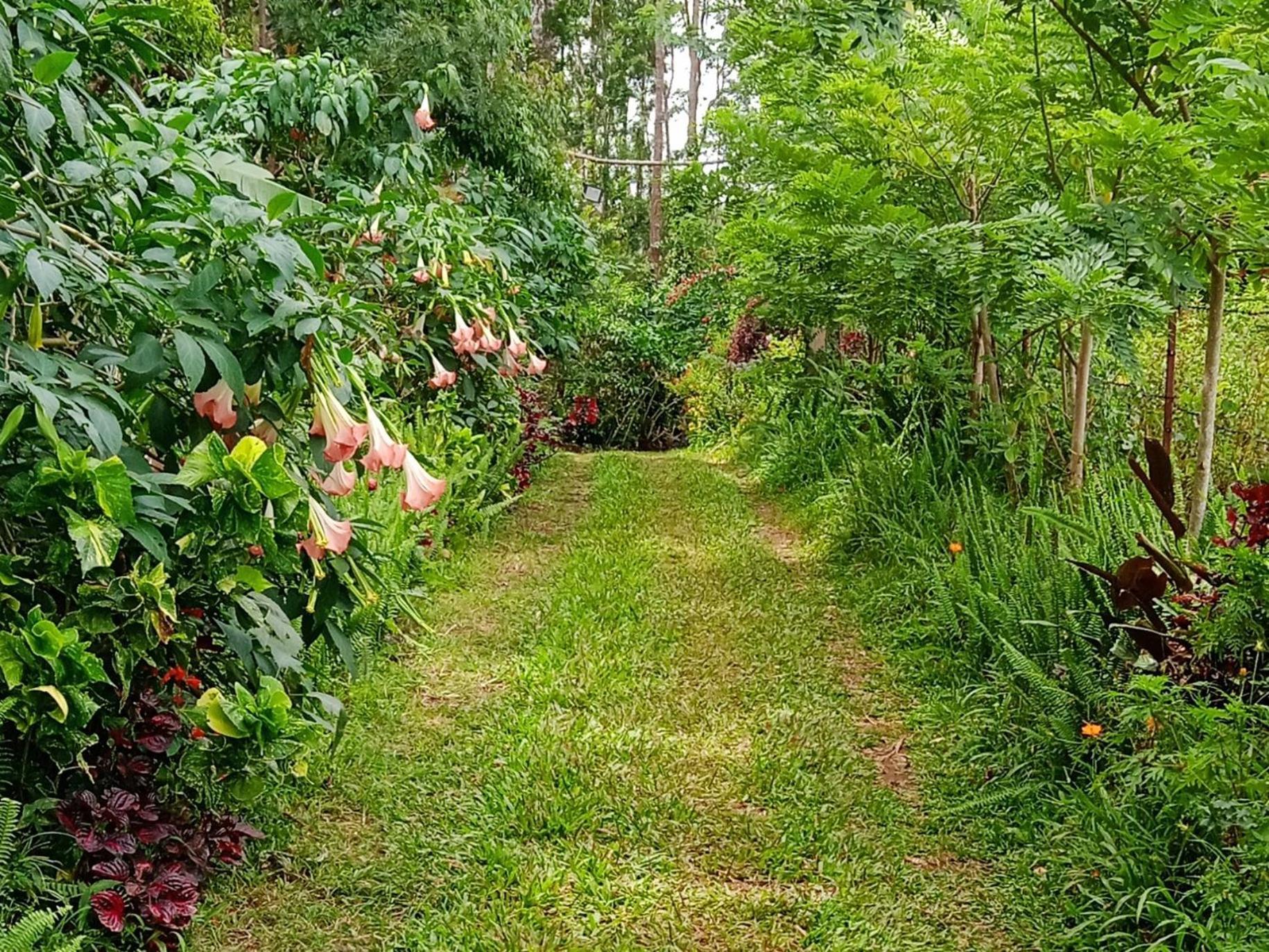 Farmer Homestay Yercaud Buitenkant foto