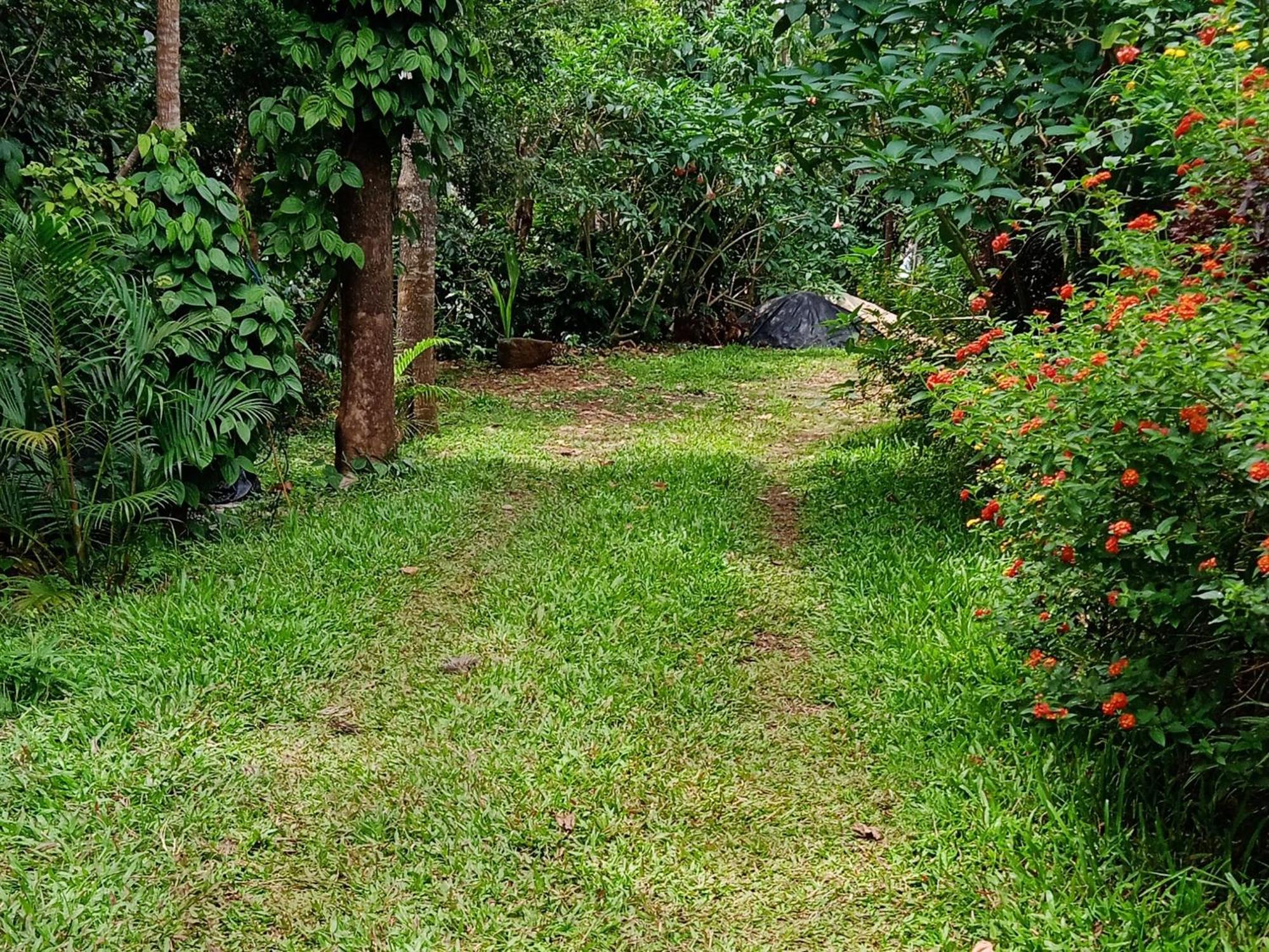 Farmer Homestay Yercaud Buitenkant foto